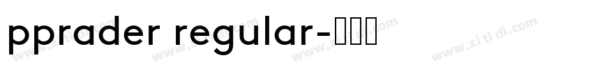 pprader regular字体转换